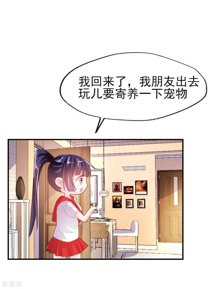 11.jpg
