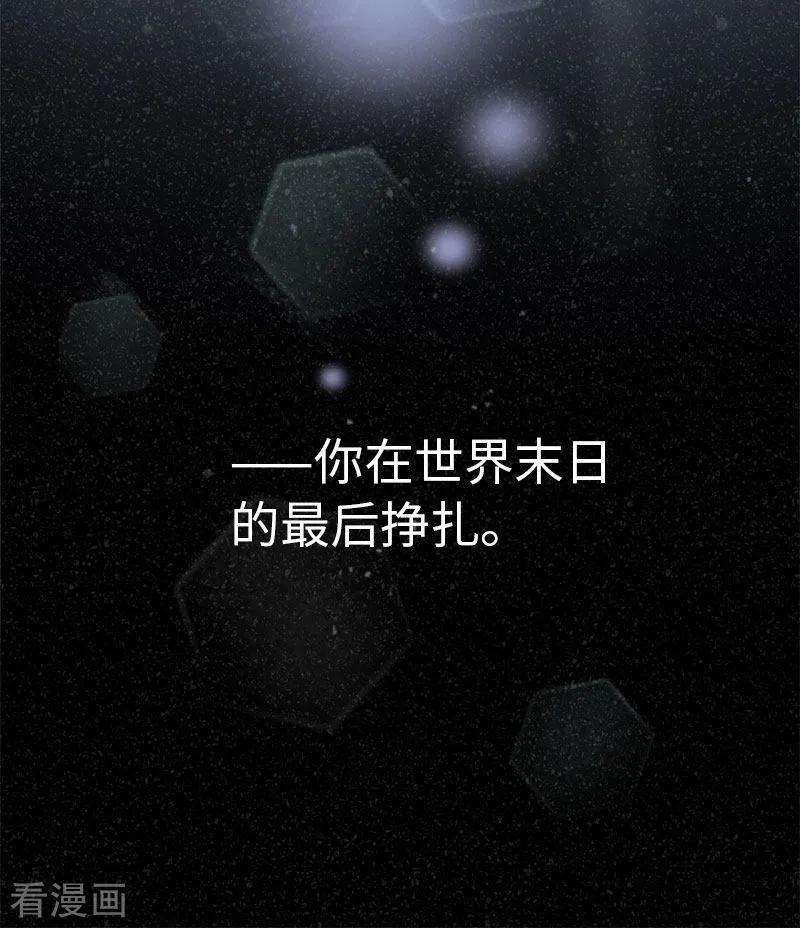 81.jpg