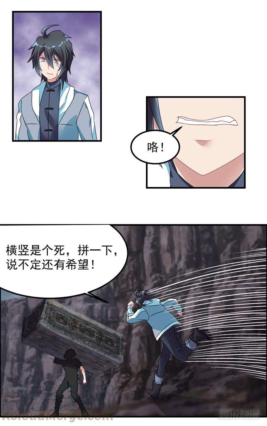 5.jpg