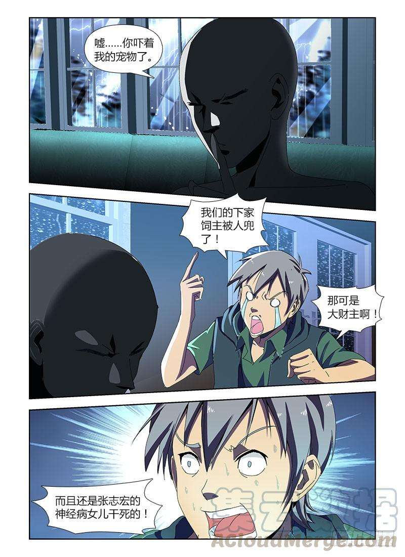 13.jpg