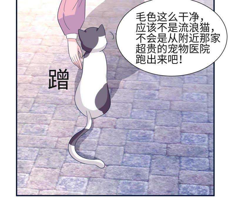 55.jpg