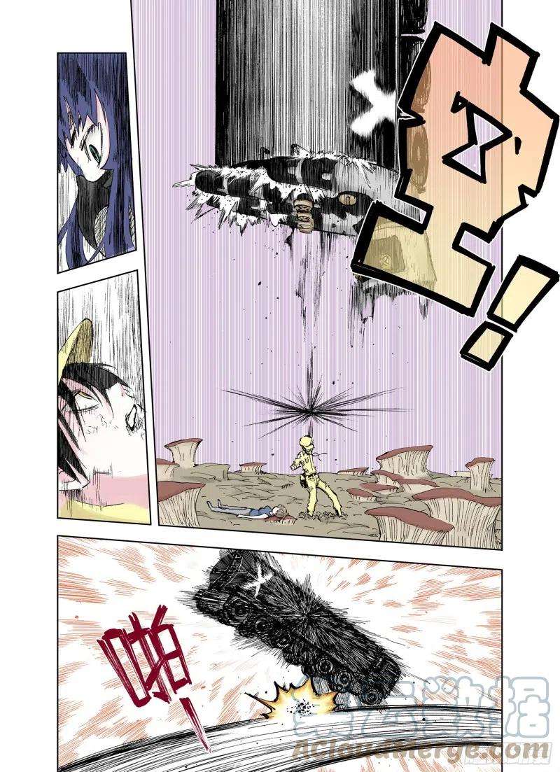 15.jpg