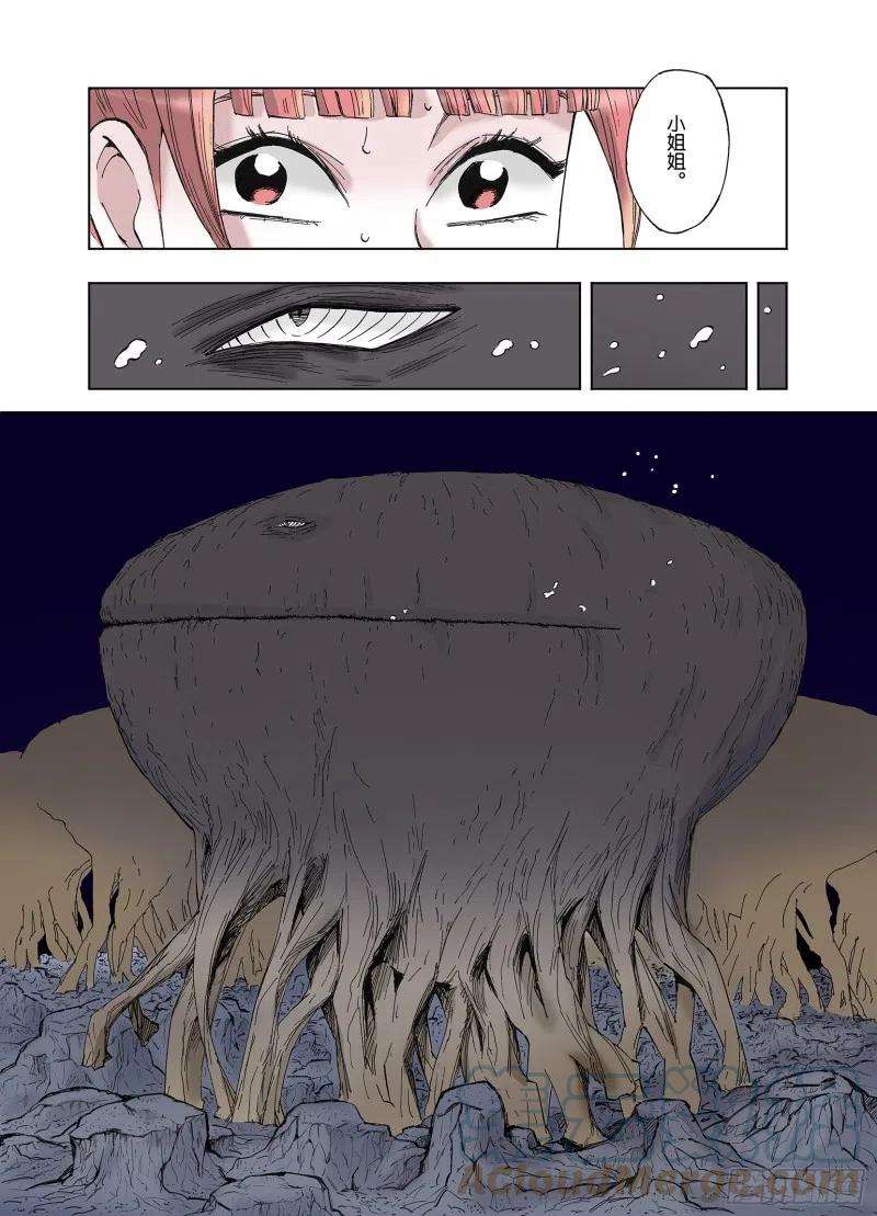 19.jpg