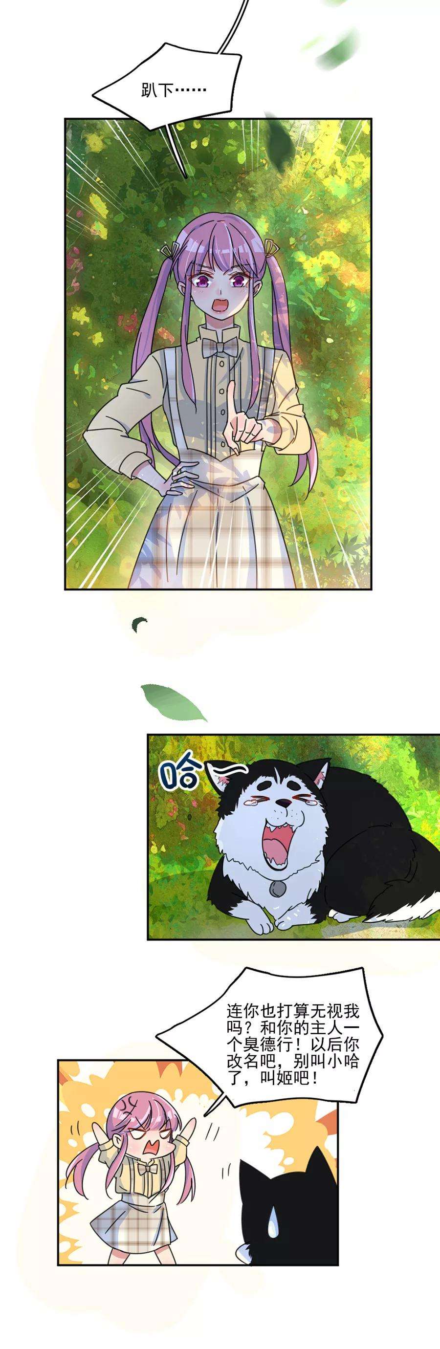 6.jpg