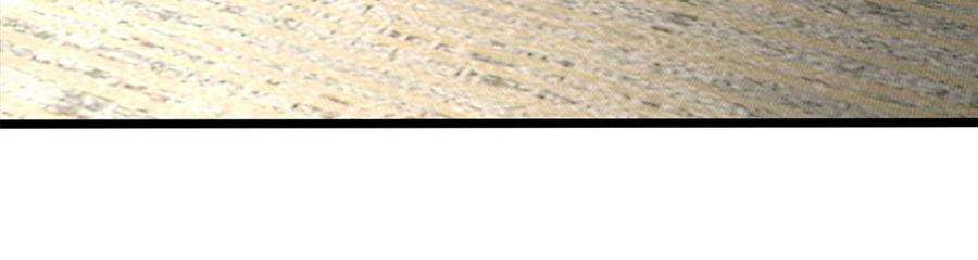 45.jpg