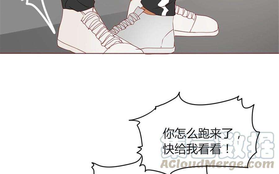 41.jpg