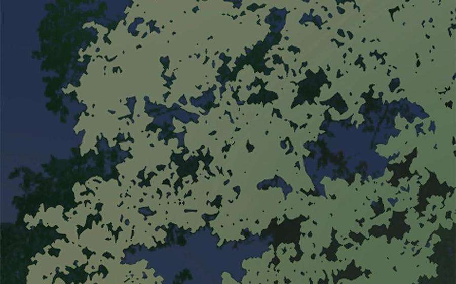 55.jpg