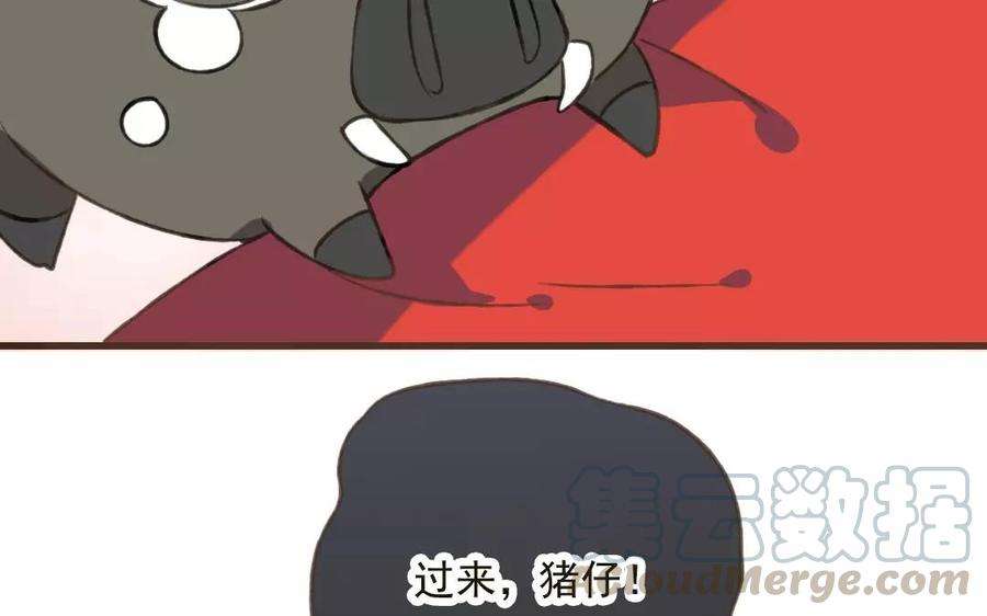 53.jpg