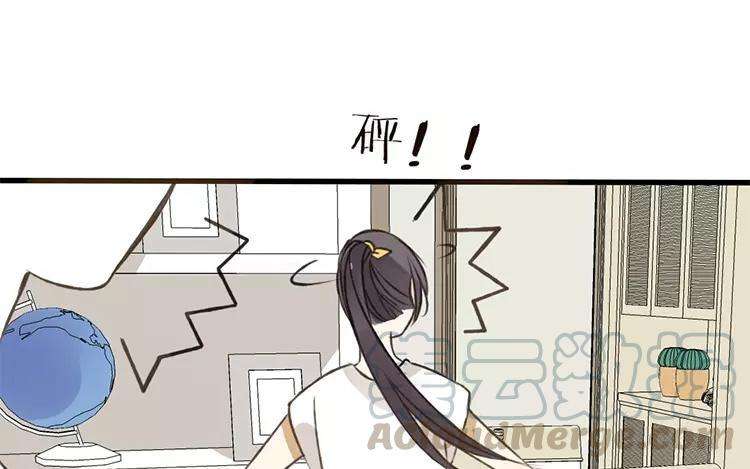 41.jpg