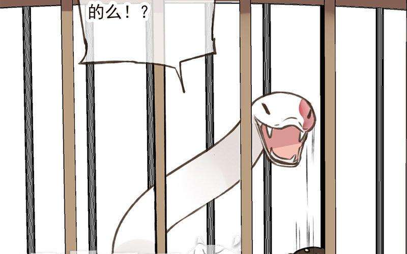 99.jpg