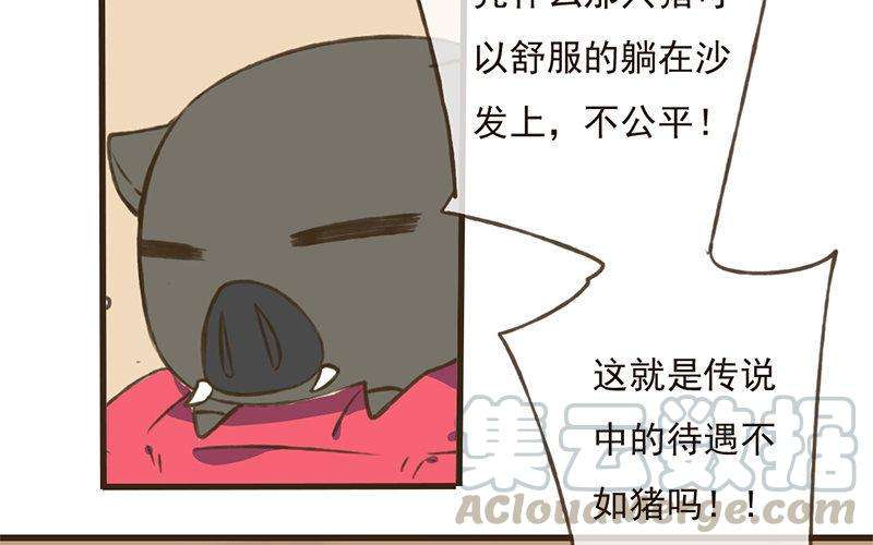 81.jpg
