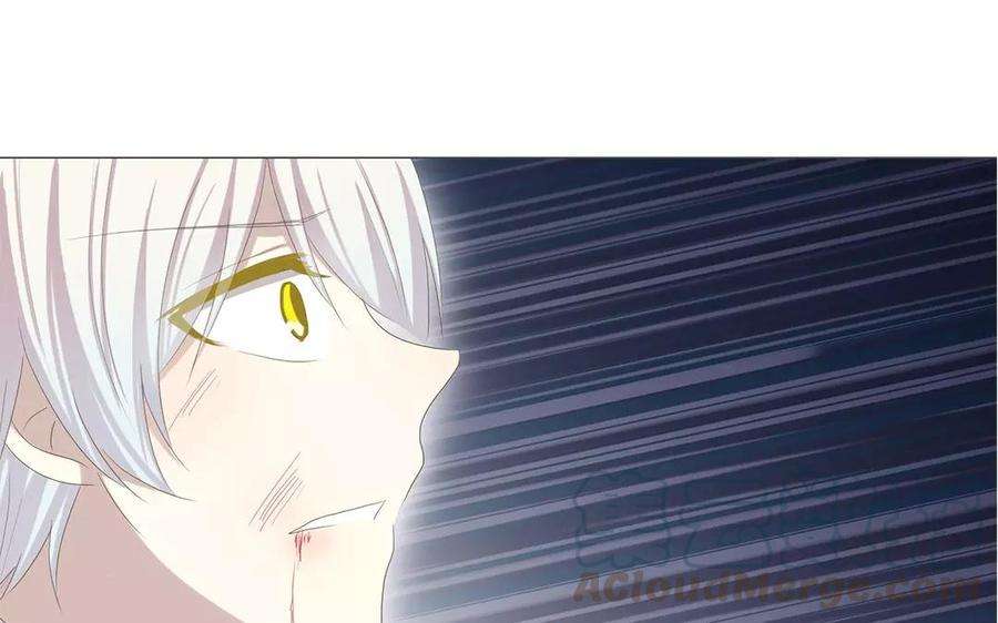73.jpg