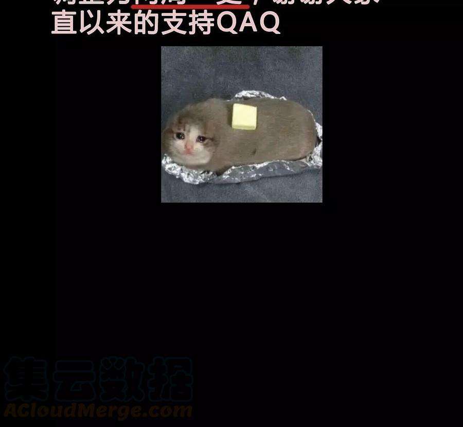65.jpg