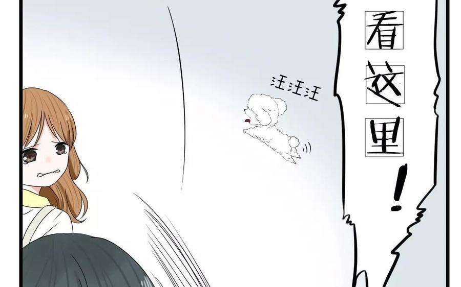48.jpg