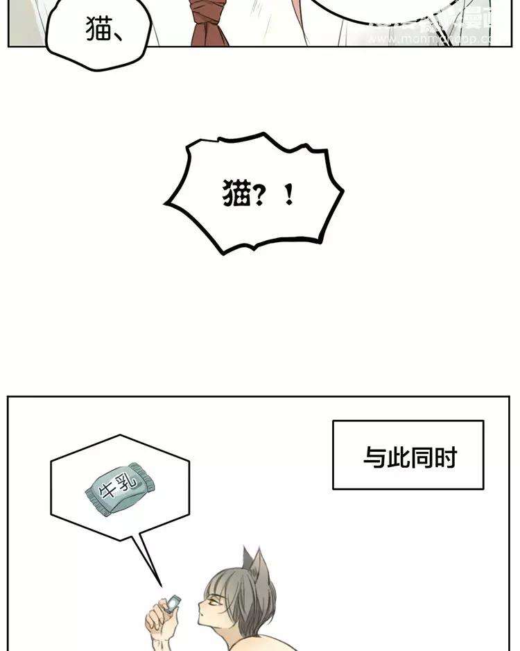 33.jpg