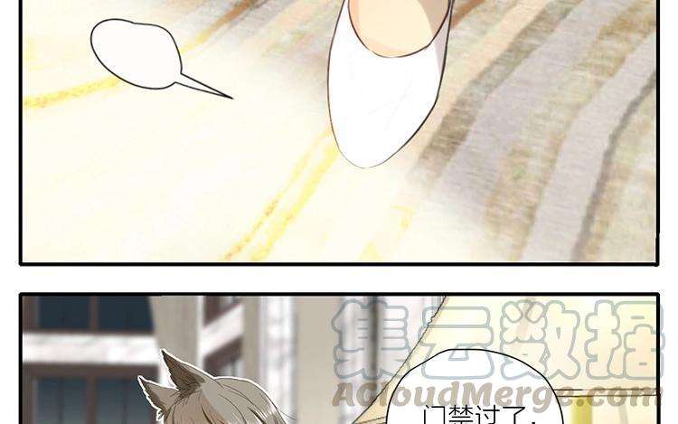 41.jpg
