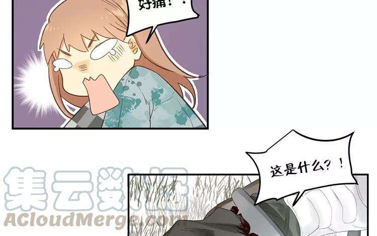 25.jpg