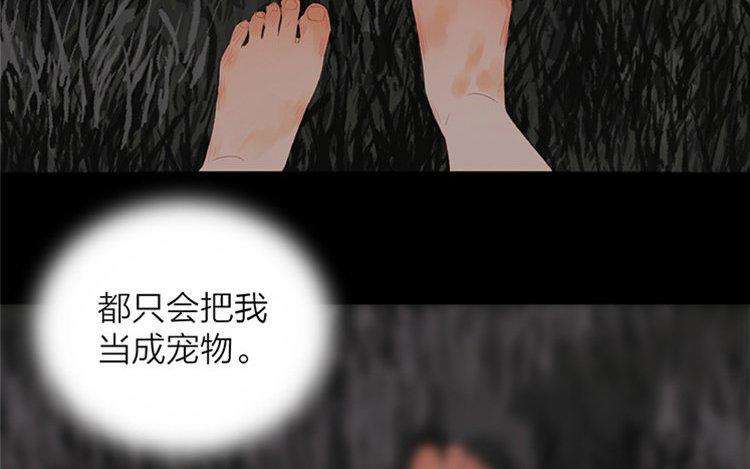 64.jpg
