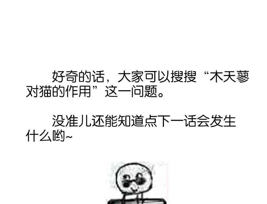 87.jpg