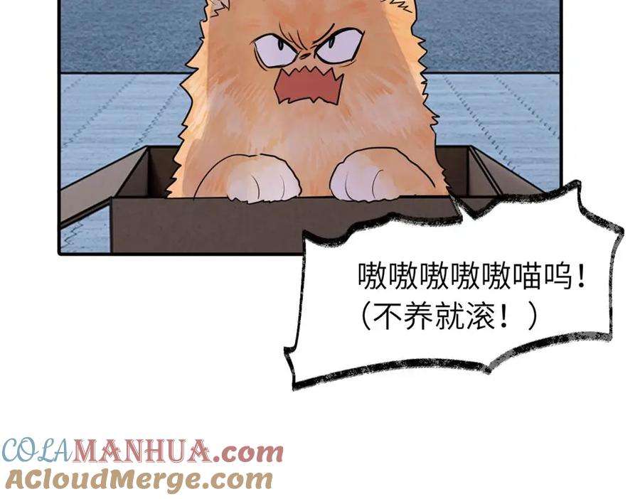 70.jpg