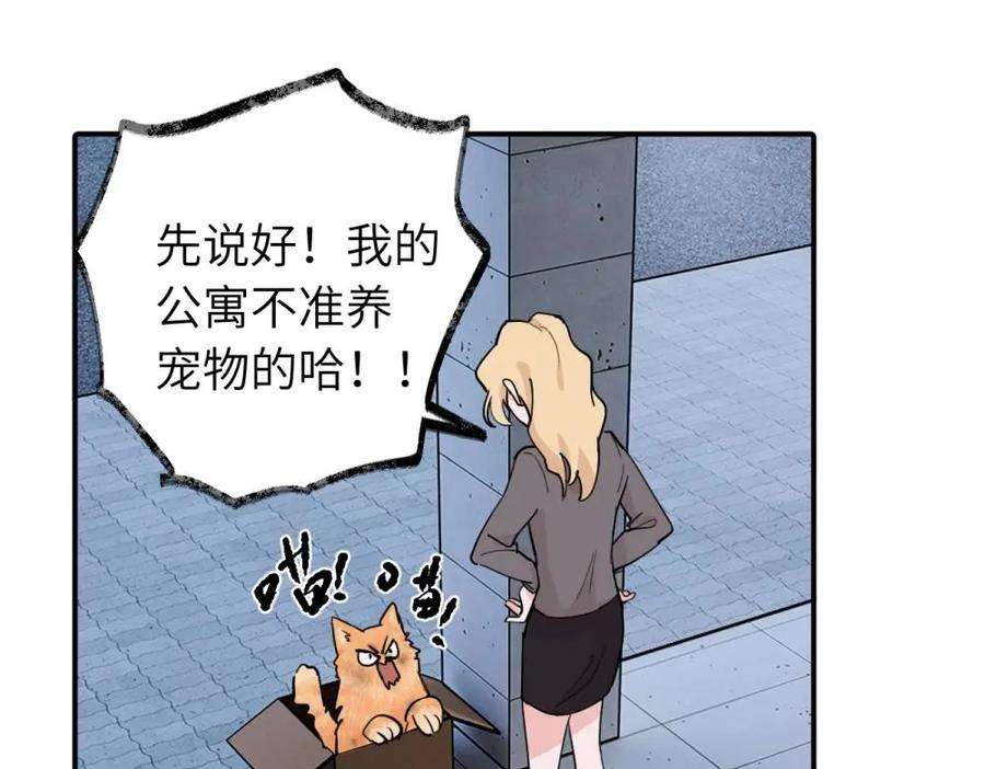 56.jpg