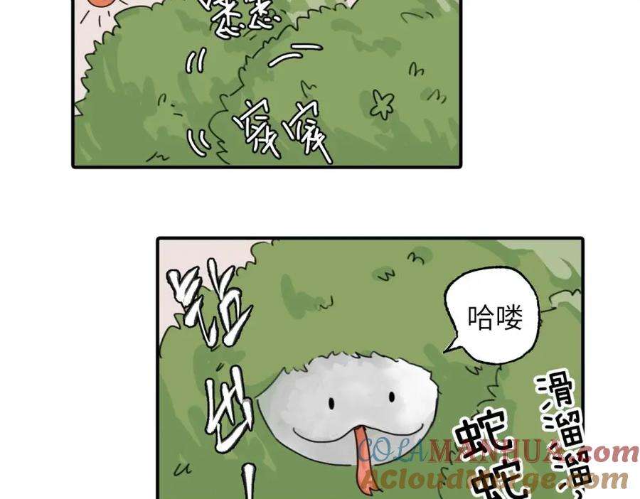 61.jpg