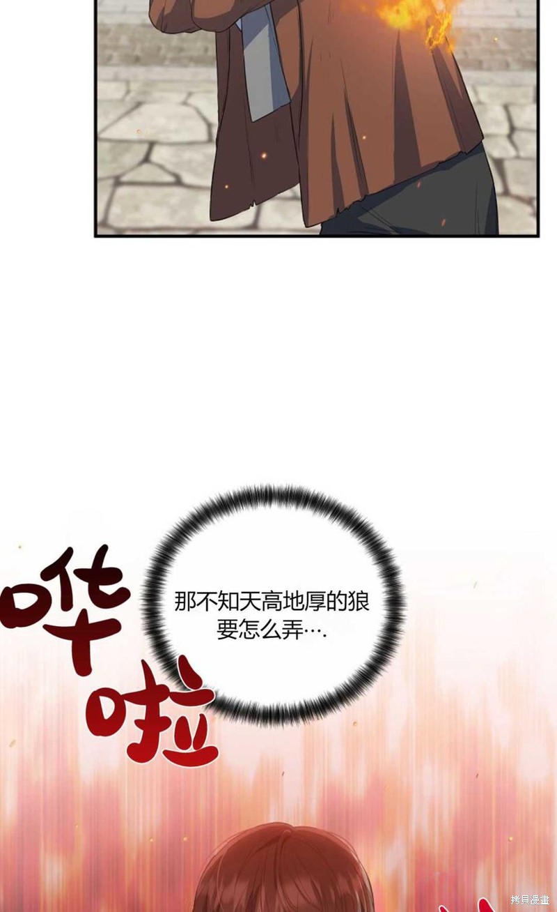 48.jpg