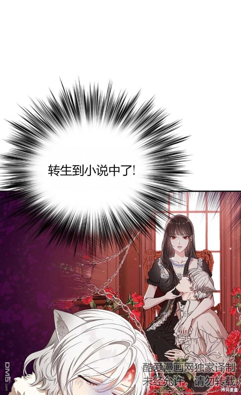 56.jpg