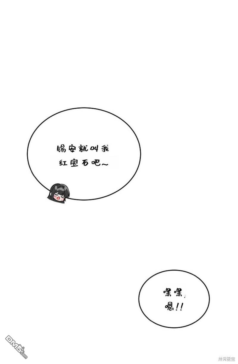 74.jpg