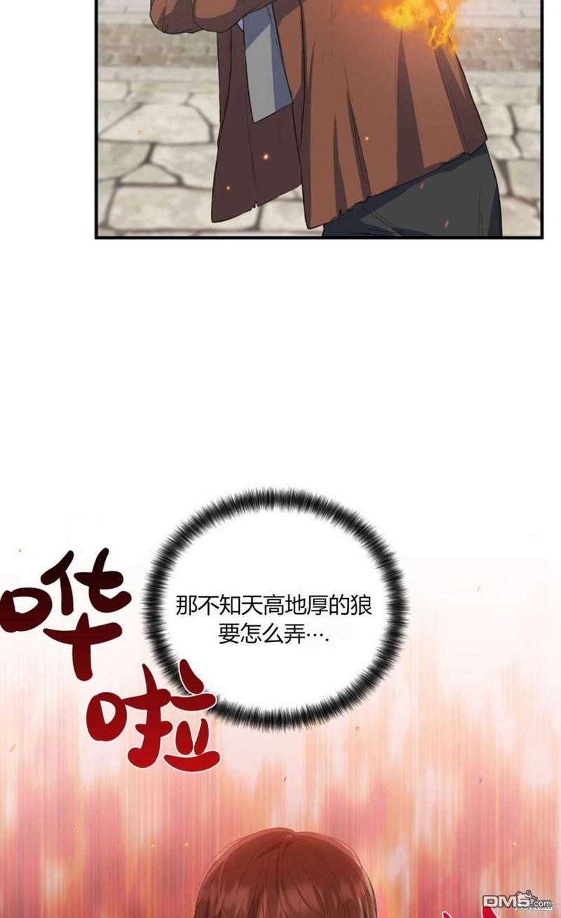 48.jpg