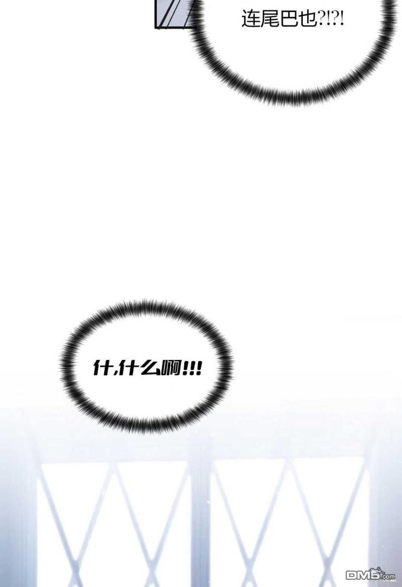 75.jpg