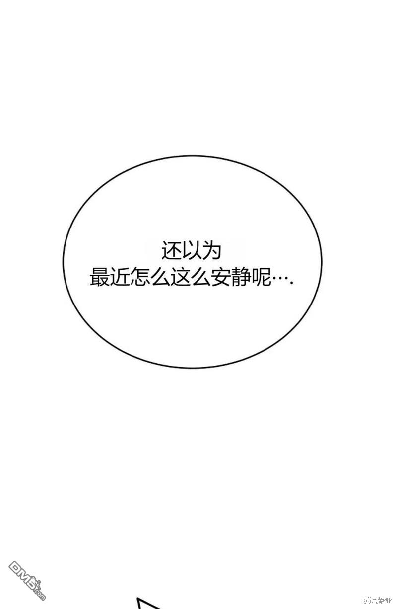 96.jpg