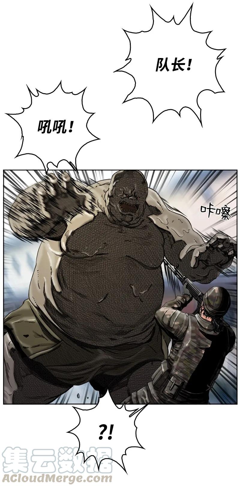 41.jpg