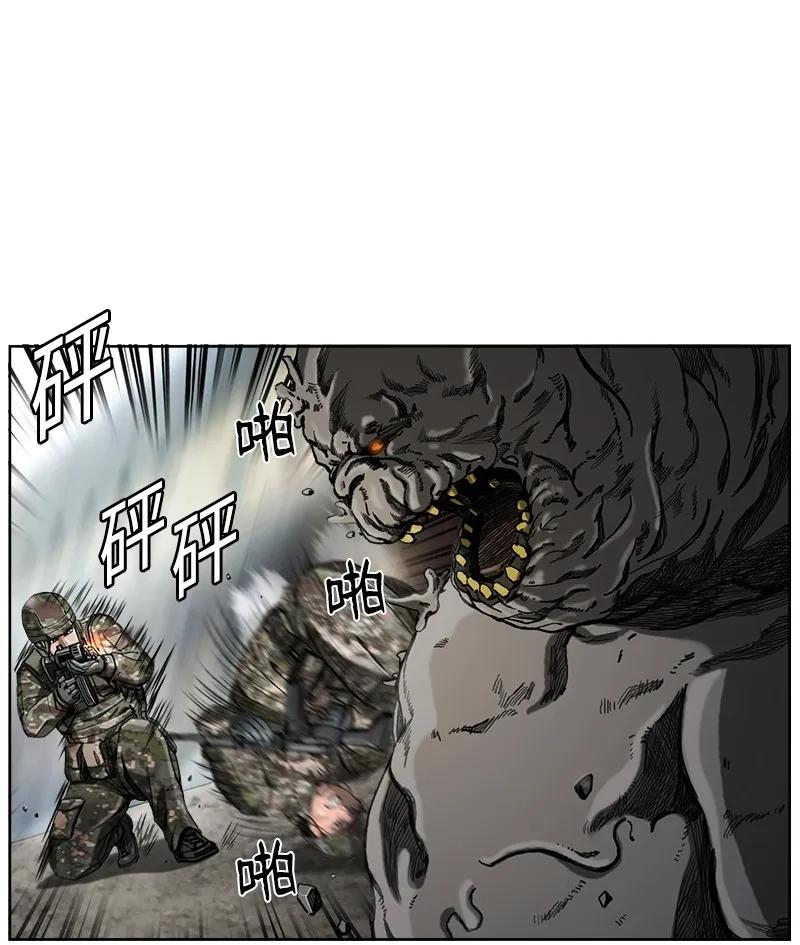 43.jpg