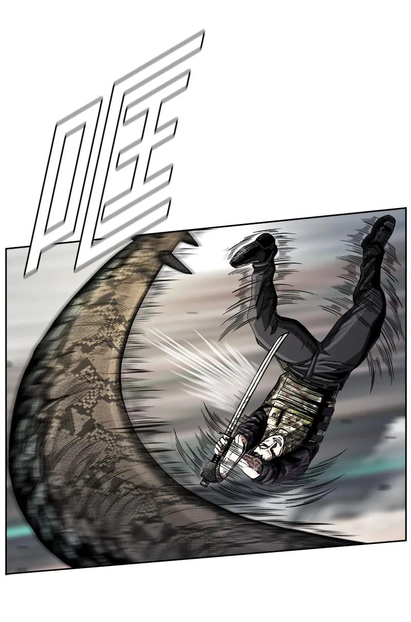 72.jpg