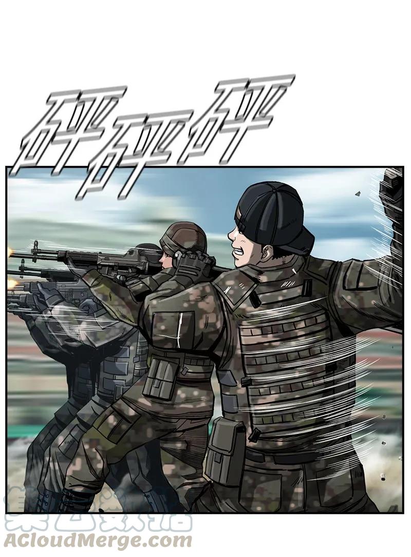 41.jpg
