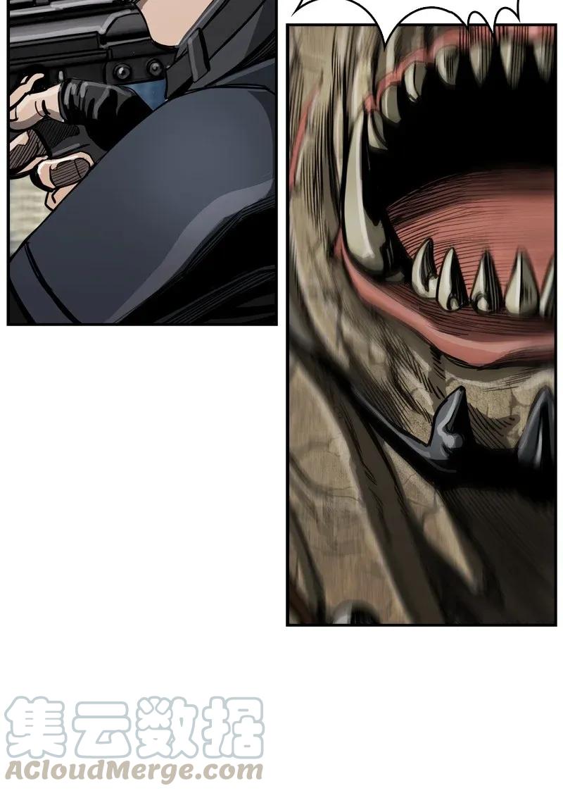 65.jpg