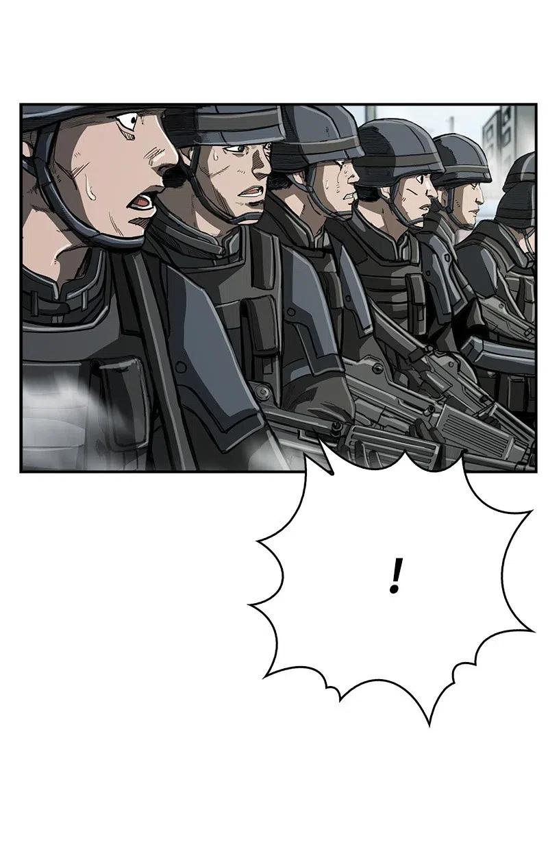 48.jpg
