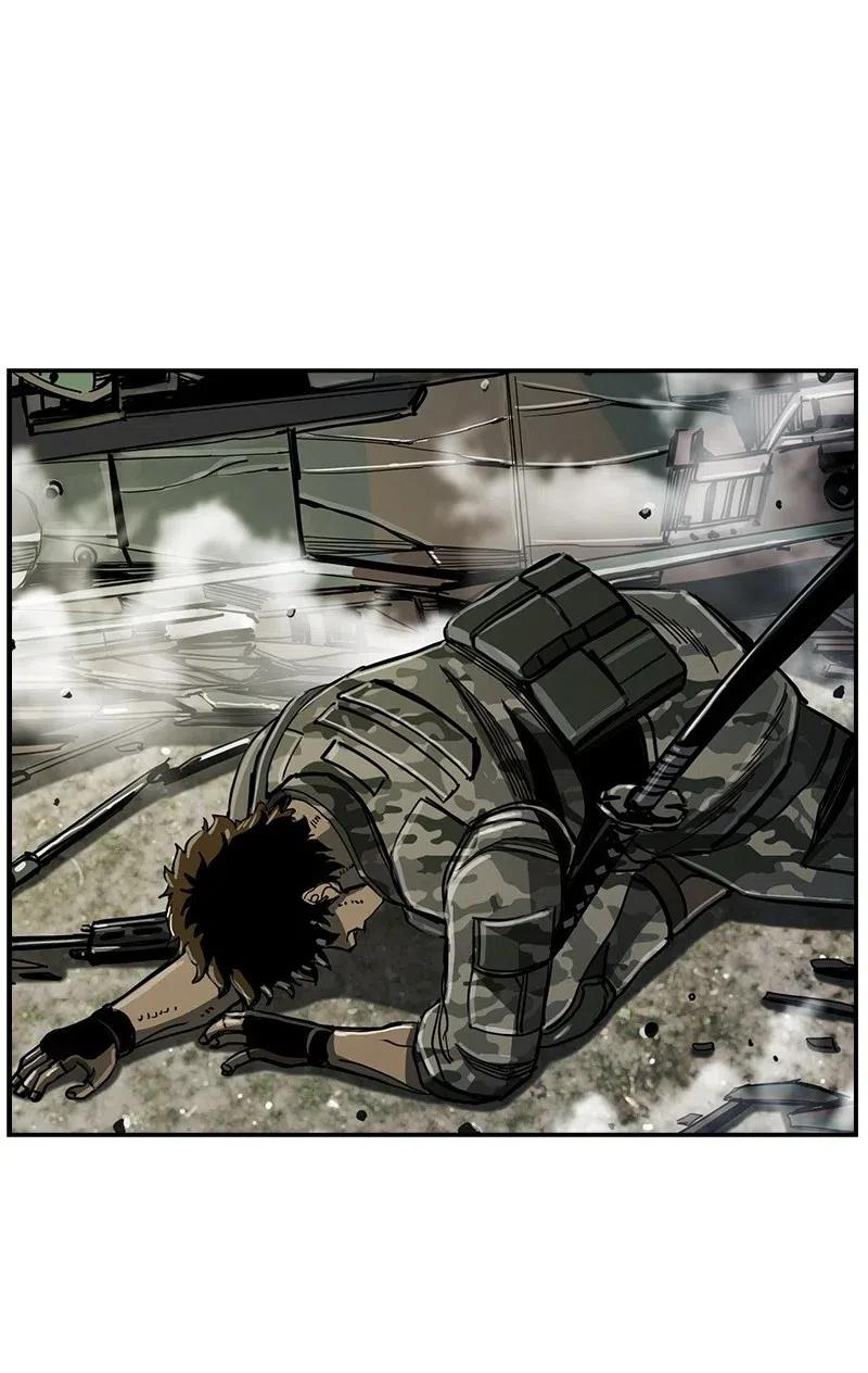47.jpg