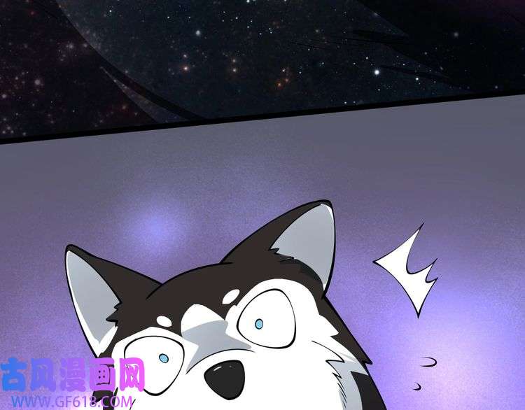 212.jpg