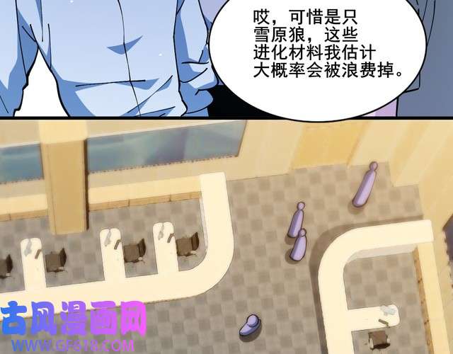 78.jpg