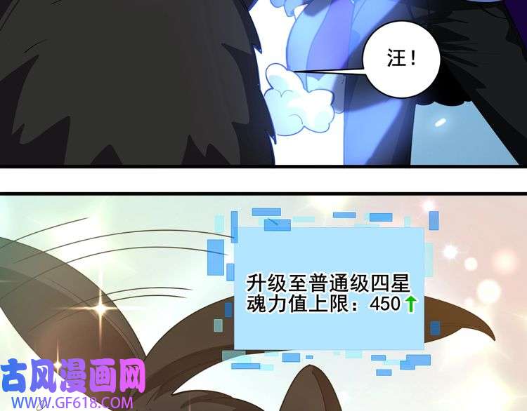 62.jpg