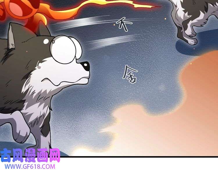 119.jpg