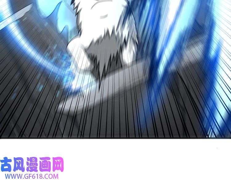 113.jpg