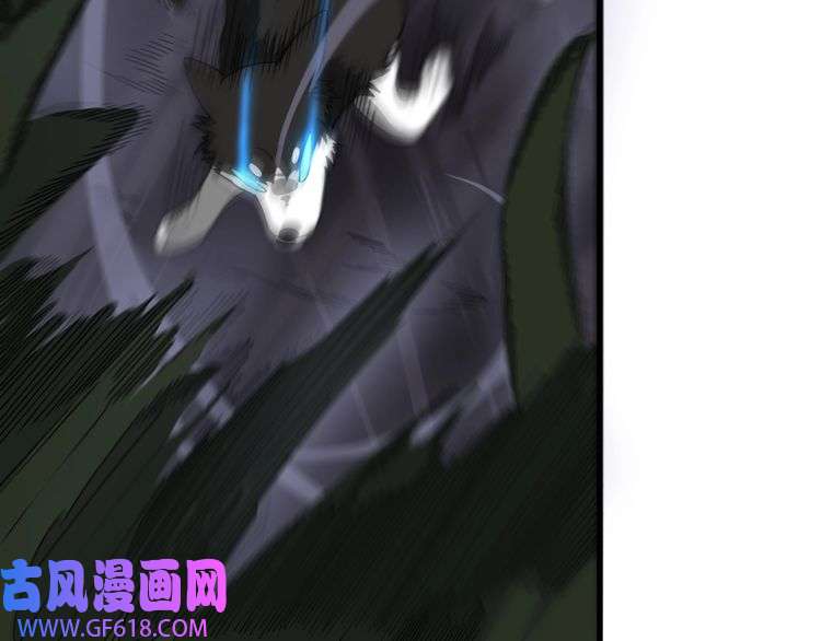 76.jpg