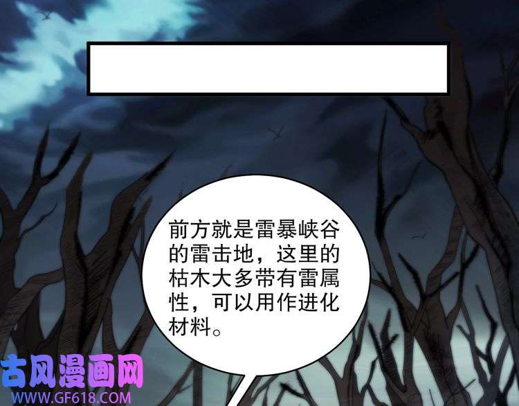 47.jpg