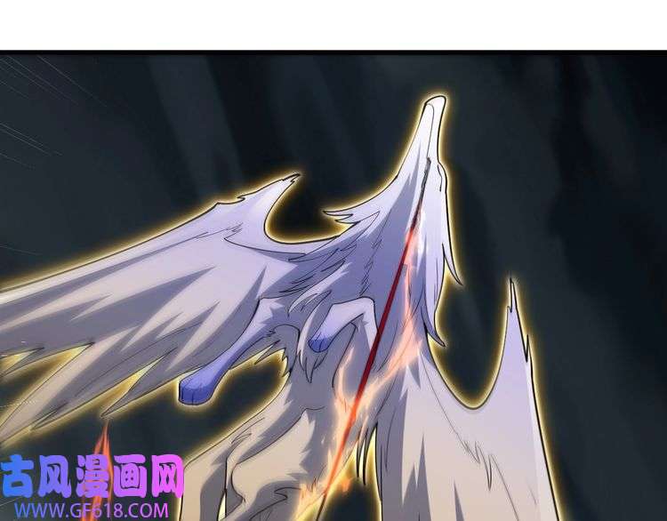 143.jpg