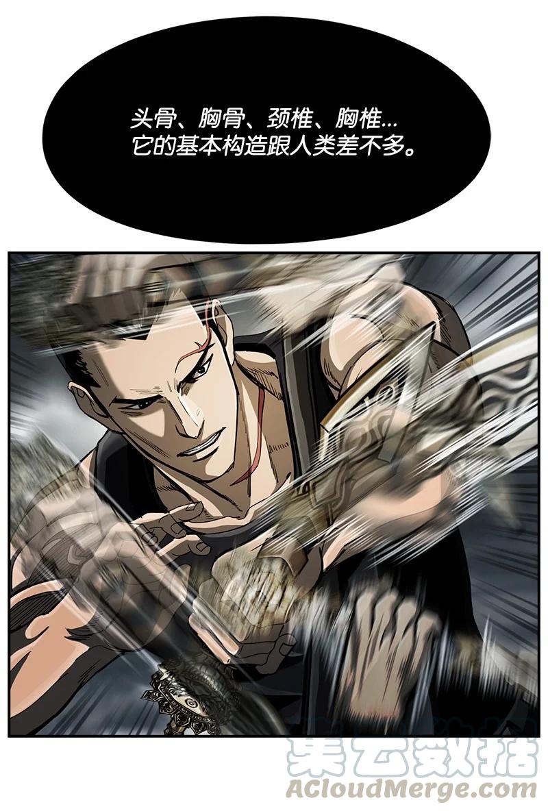 16.jpg