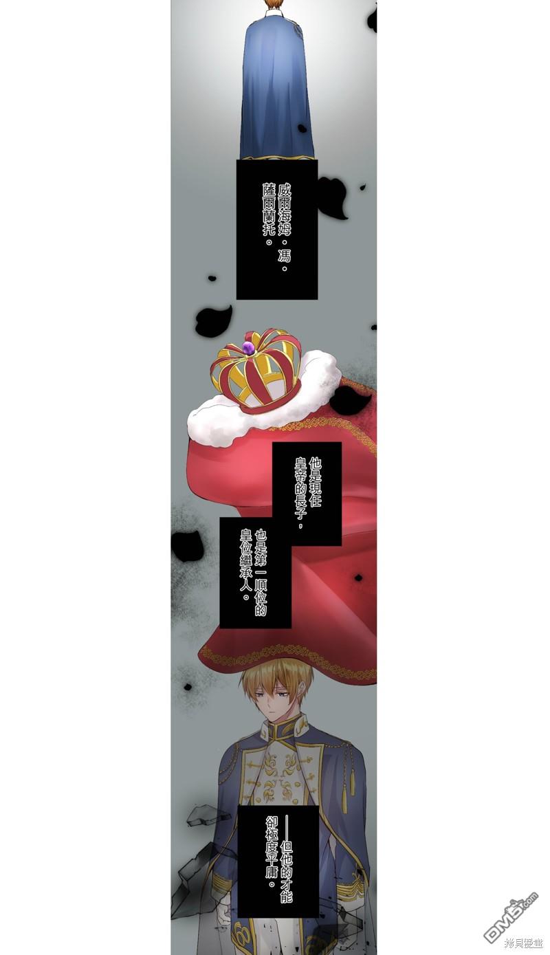 17.jpg