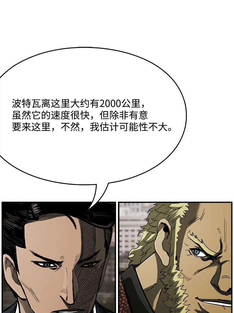 78.jpg